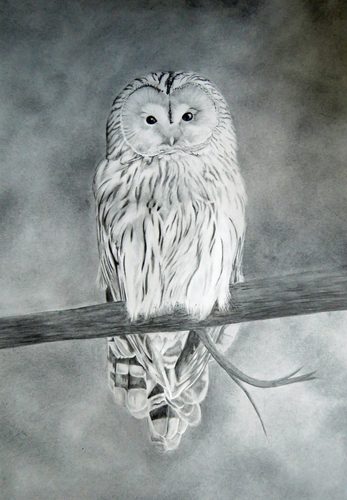 LMG Water Soluble Graphite 1.20